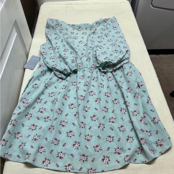 NWT Velvet Torch (Nordstrom) L floral babydoll dress with pockets - Picture 5 of 8